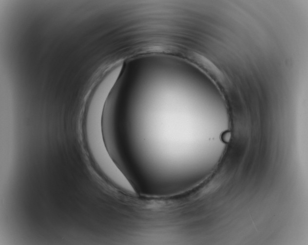 X0000091930938200709261911