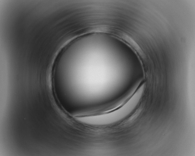 X0000091930939200709261911