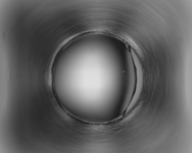 X0000091930940200709261911