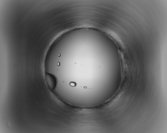 X0000091930942200709261911