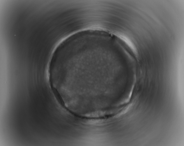 X0000091930944200709261912
