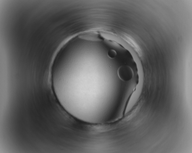 X0000091930948200709261912