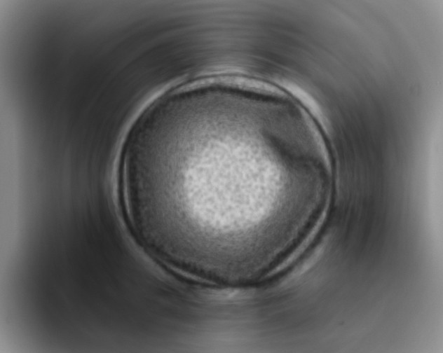 X0000091930949200709261912