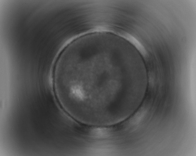 X0000091930950200709261912