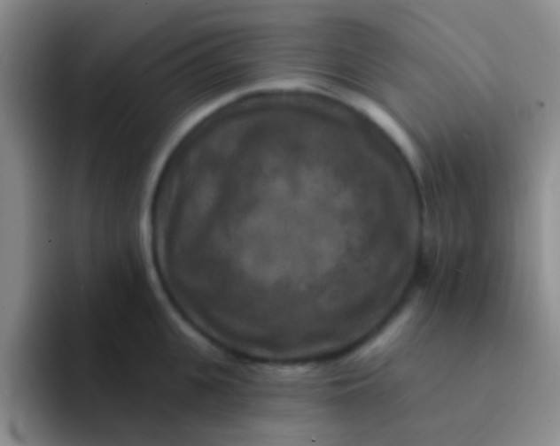 X0000091930951200709261912