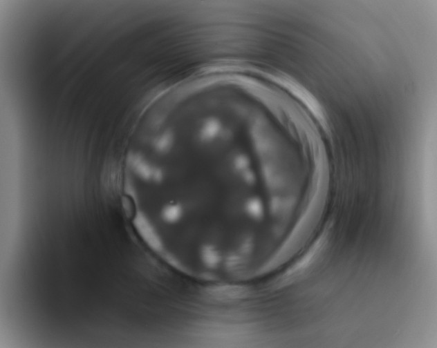 X0000091930953200709261912