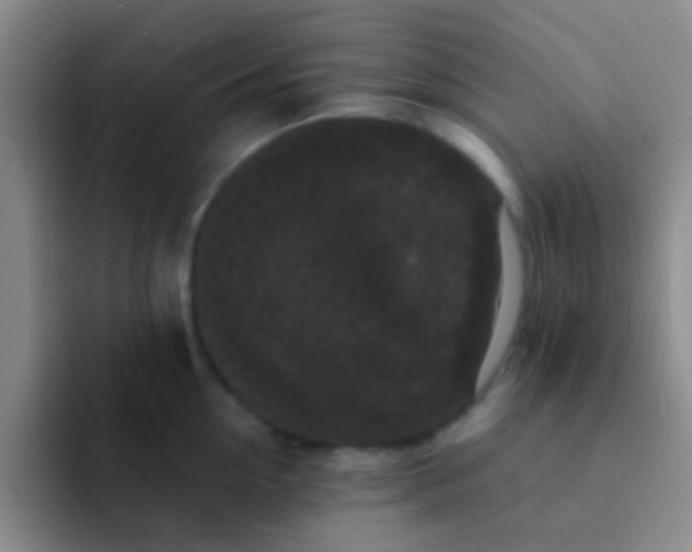 X0000091930954200709261912