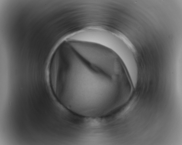 X0000091930955200709261912