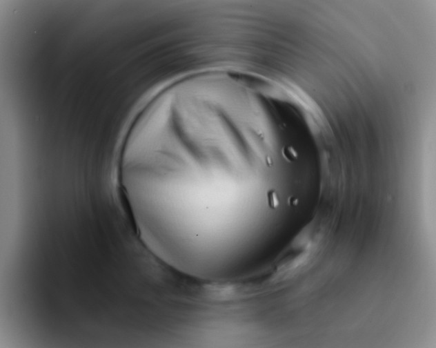 X0000091930956200709261912