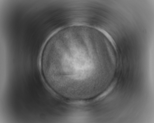 X0000091930957200709261912