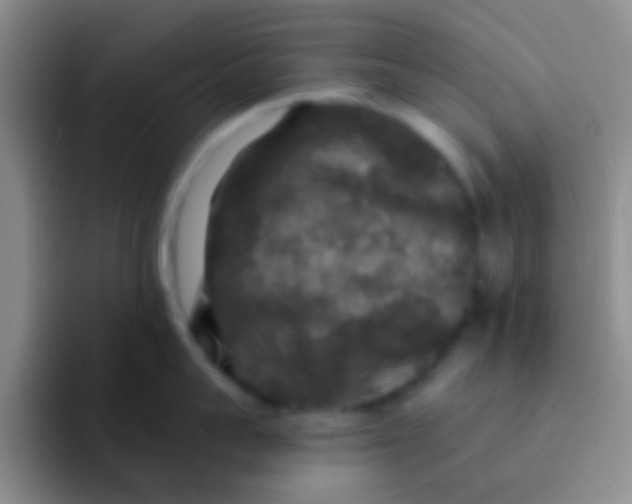 X0000091930959200709261912