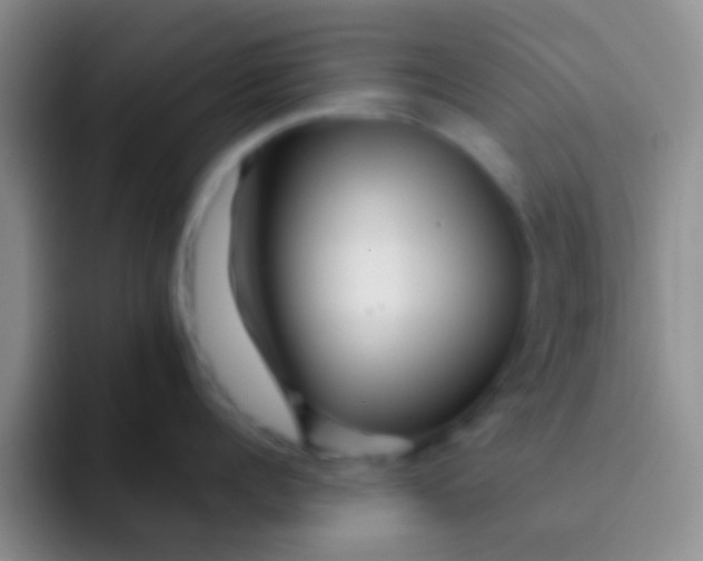 X0000091930960200709261912