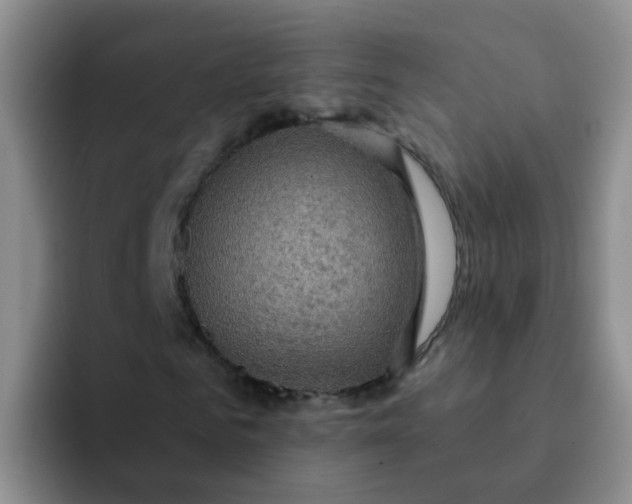 X0000091930961200709261911