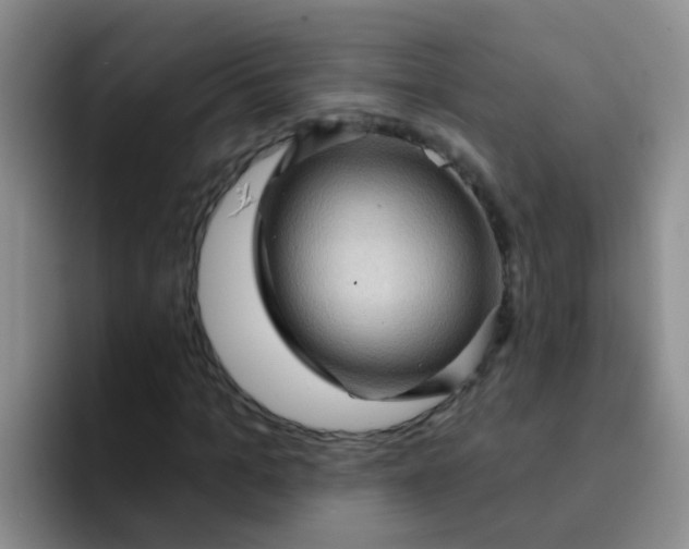 X0000091930965200709261911