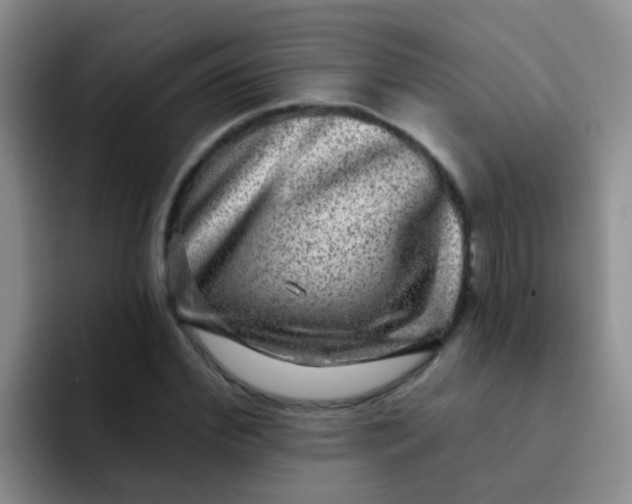 X0000091930972200709261911