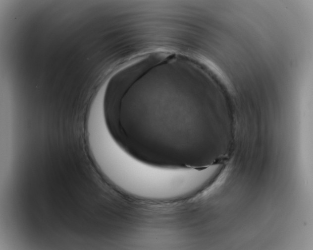 X0000091930977200709261911