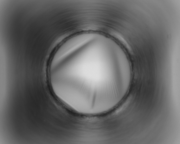 X0000091930978200709261911