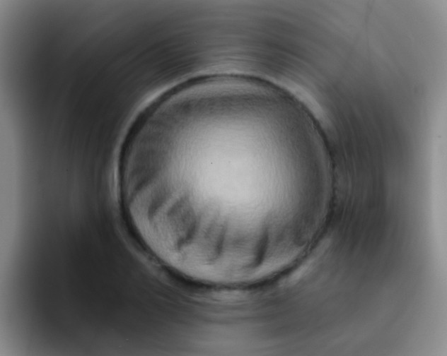 X0000091930982200709261911