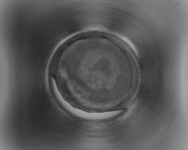 X0000091930983200709261911