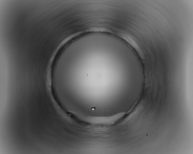 X0000091930984200709261911