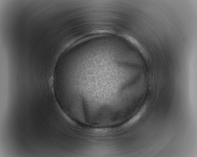 X0000091930985200709261911