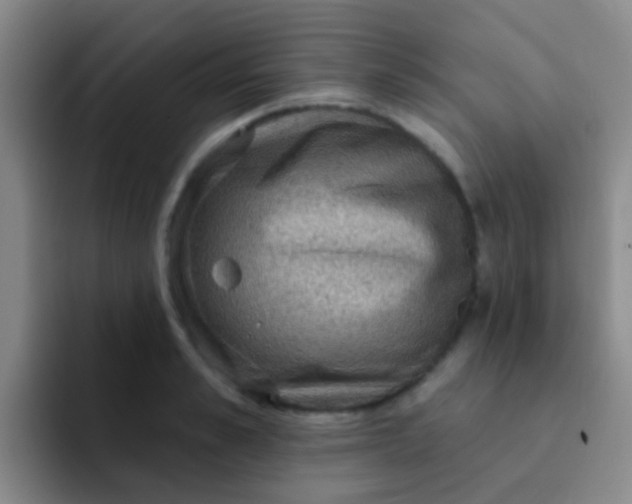 X0000091930989200709261911