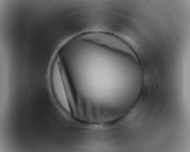 X0000091930990200709261911