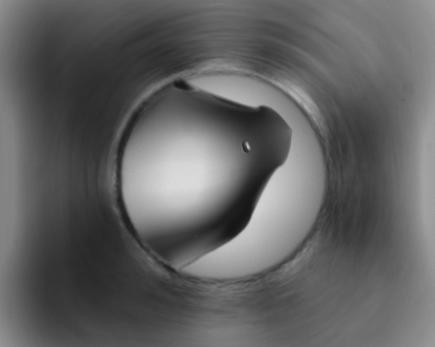 X0000091930992200709261911