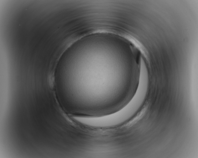 X0000091930993200709261911