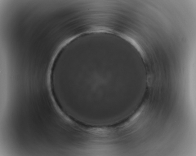 X0000091930995200709261911