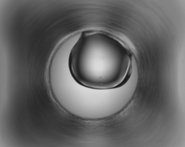 X0000091930996200709261911