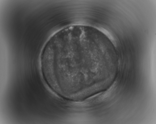 X0000091930998200709261911