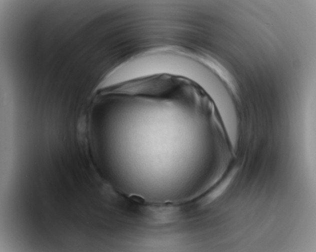 X0000091931001200709261911