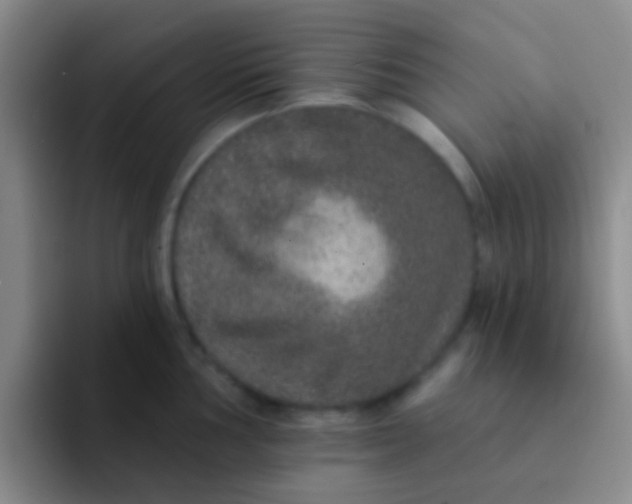 X0000091931002200709261911