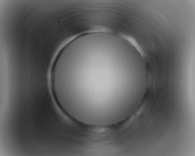 X0000091931003200709261911