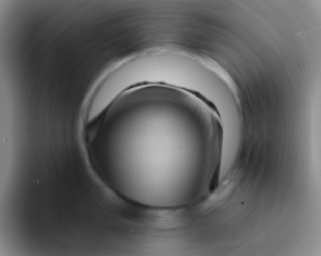 X0000091931005200709261911