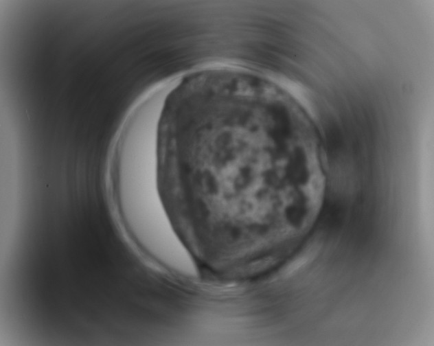 X0000091931007200709261911