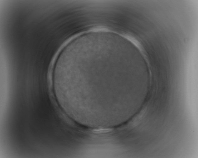 X0000091931008200709261911