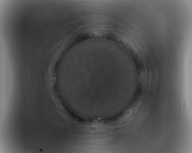 X0000091931009200709261910