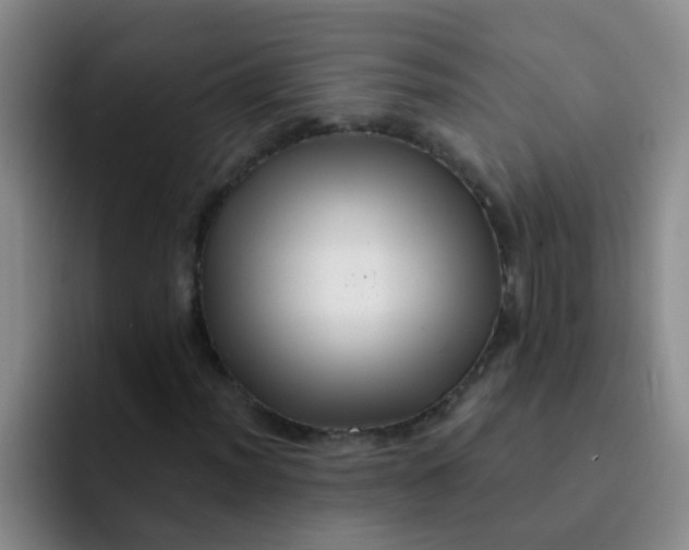 X0000091931012200709261910