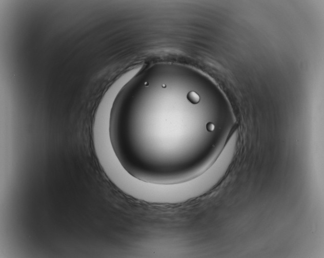 X0000091931014200709261910