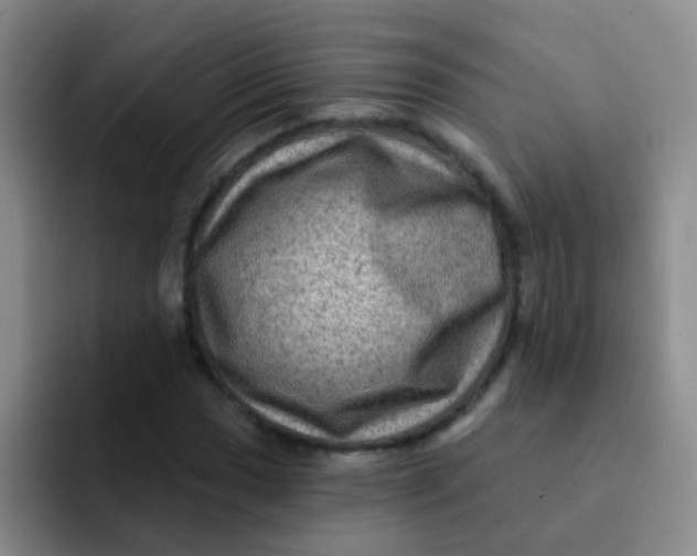 X0000091931017200709261910