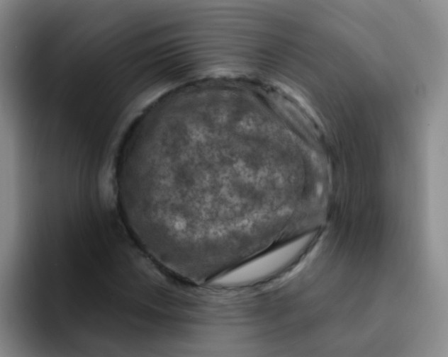 X0000091931018200709261910