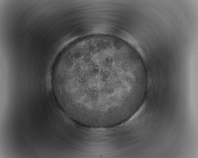 X0000091931019200709261910