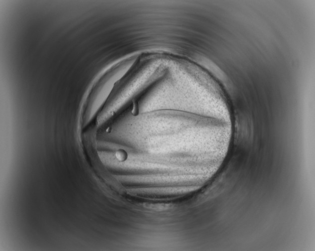 X0000091931020200709261910