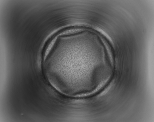 X0000091931021200709261910