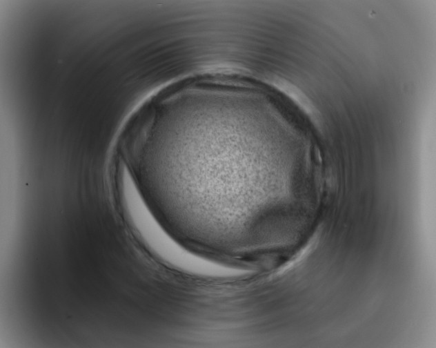 X0000091931022200709261910