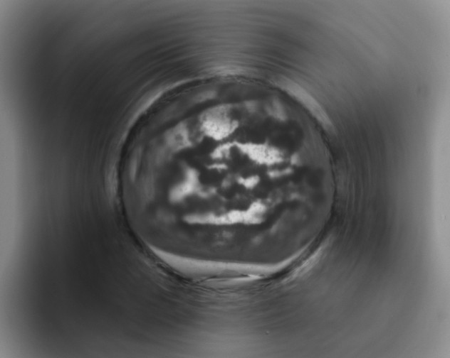 X0000091931023200709261910