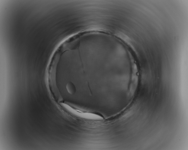 X0000091931024200709261910