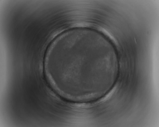 X0000091931025200709261910